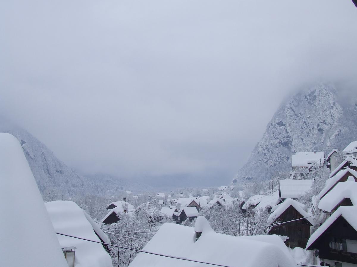 Apartment Zupanc Bohinj Buitenkant foto